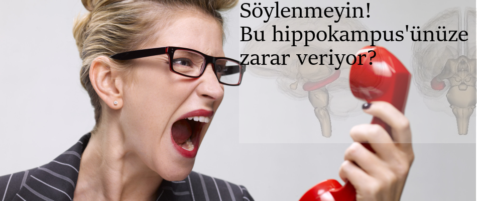 soylenmeyin