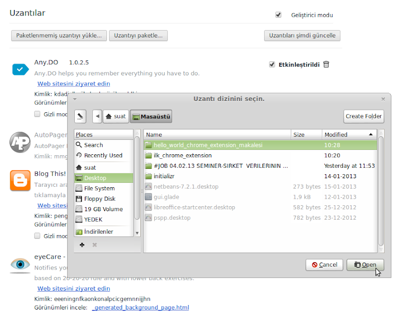 Chrome Uzantılar ekranı